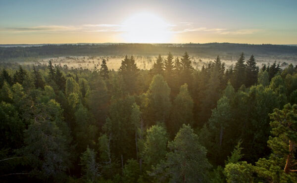 ภาพขนาดย่อ